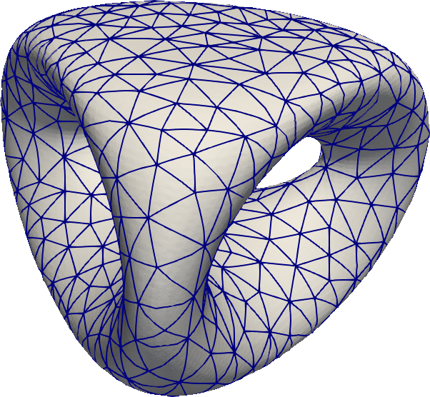 Triangular finite-element grid on a curved genus-two surface