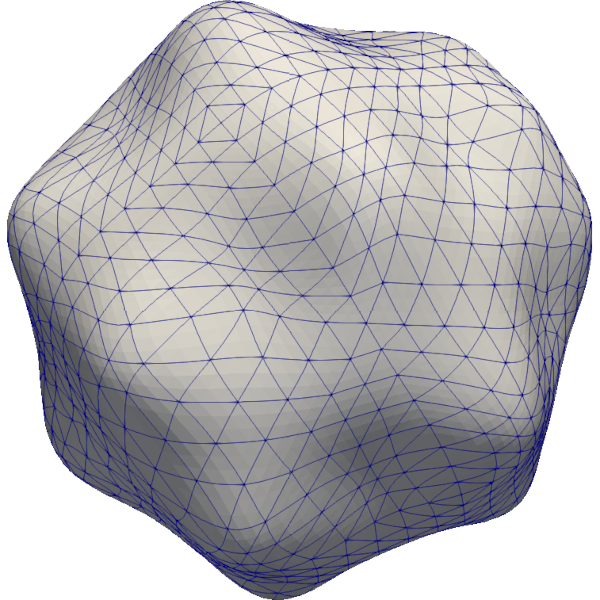 A curved triangulated surface during a mean-curvature-flow computation