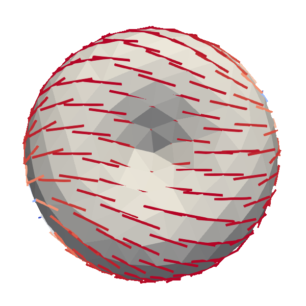A tangential nematic field represented by red line segments on a triangulated sphere
