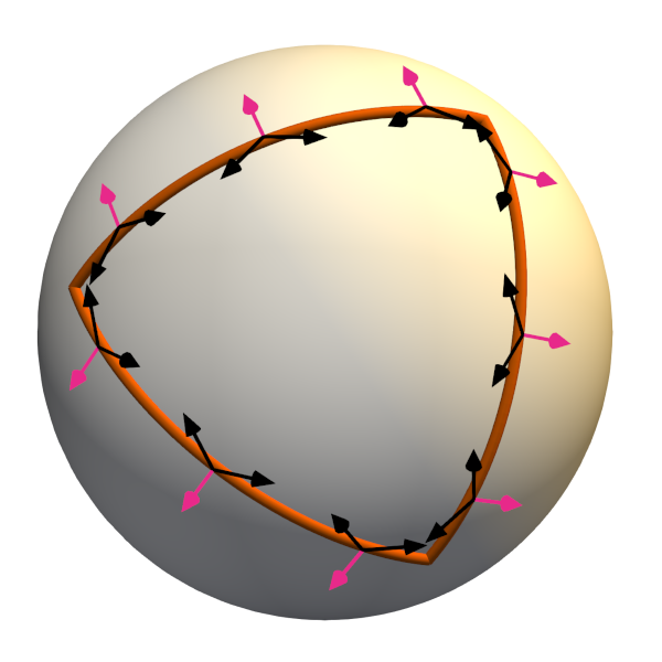 A closed curve on a sphere with boundary co-normal vectors shown along the curve